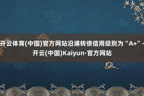 开云体育(中国)官方网站沿浦转债信用级别为“A+”-开云(中国)Kaiyun·官方网站