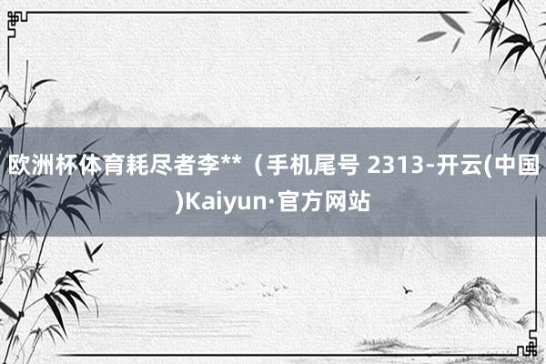 欧洲杯体育耗尽者李**（手机尾号 2313-开云(中国)Kaiyun·官方网站