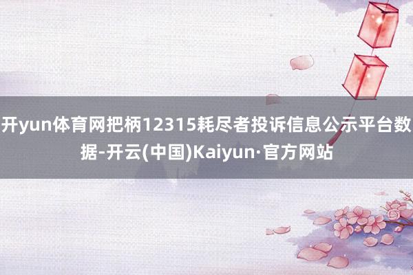 开yun体育网把柄12315耗尽者投诉信息公示平台数据-开云(中国)Kaiyun·官方网站