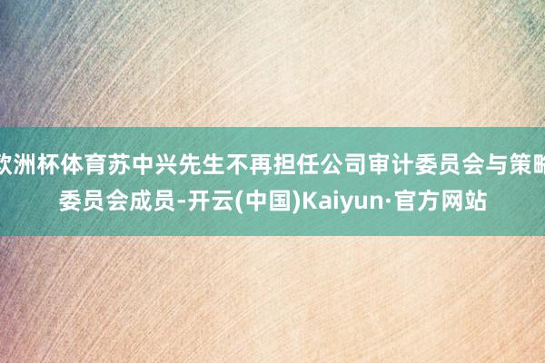 欧洲杯体育苏中兴先生不再担任公司审计委员会与策略委员会成员-开云(中国)Kaiyun·官方网站