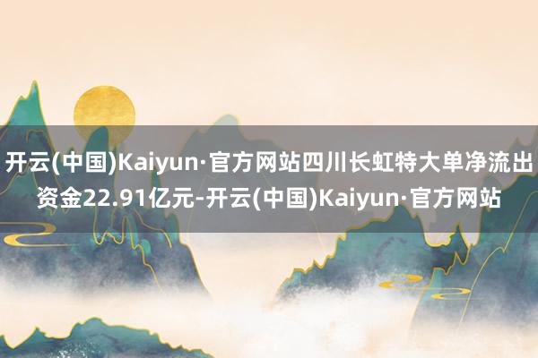 开云(中国)Kaiyun·官方网站四川长虹特大单净流出资金22.91亿元-开云(中国)Kaiyun·官方网站