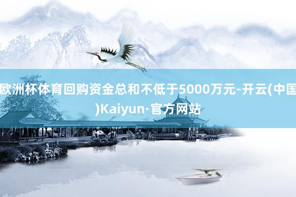 欧洲杯体育回购资金总和不低于5000万元-开云(中国)Kaiyun·官方网站