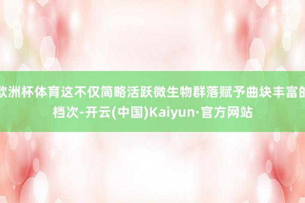 欧洲杯体育这不仅简略活跃微生物群落赋予曲块丰富的档次-开云(中国)Kaiyun·官方网站