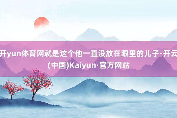 开yun体育网就是这个他一直没放在眼里的儿子-开云(中国)Kaiyun·官方网站